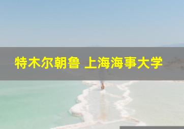 特木尔朝鲁 上海海事大学